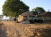 Images of Saharia Organic Resort Jaipur: image 5 0f 14 thumb