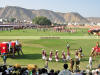 Images of Elephant Festival Jaipur: image 20 0f 24 thumb