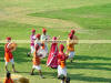 Images of Elephant Festival Jaipur: image 12 0f 24 thumb