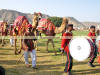 Images of Elephant Festival Jaipur: image 8 0f 24 thumb