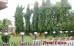Images of Hotel Maya International Jaipur: image 9 0f 18 thumb