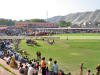 Images of Elephant Festival Jaipur: image 17 0f 24 thumb