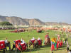 Images of Elephant Festival Jaipur: image 19 0f 24 thumb