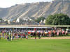 Images of Elephant Festival Jaipur: image 24 0f 24 thumb