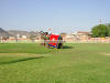 Images of Elephant Festival Jaipur: image 15 0f 24 thumb