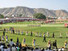 Images of Elephant Festival Jaipur: image 21 0f 24 thumb